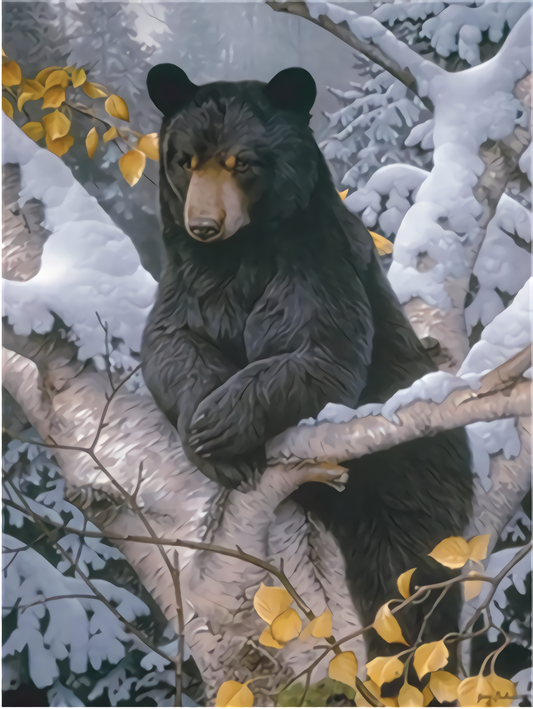 Schwarzbär Malen nach Zahlen