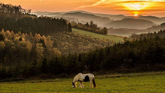 Wiese Menschen Malen nach Zahlen