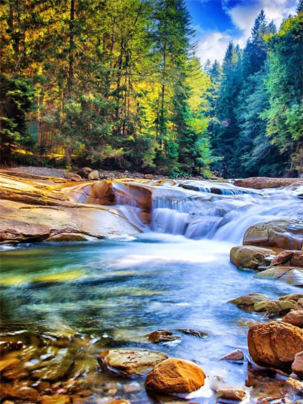 Flussufer   Malen nach Zahlen